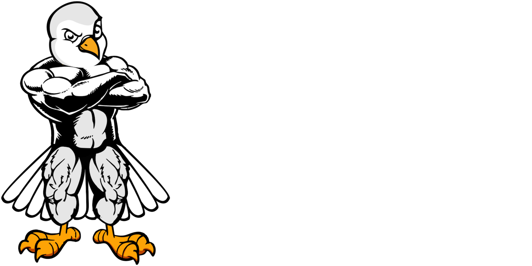 Dove Fitness